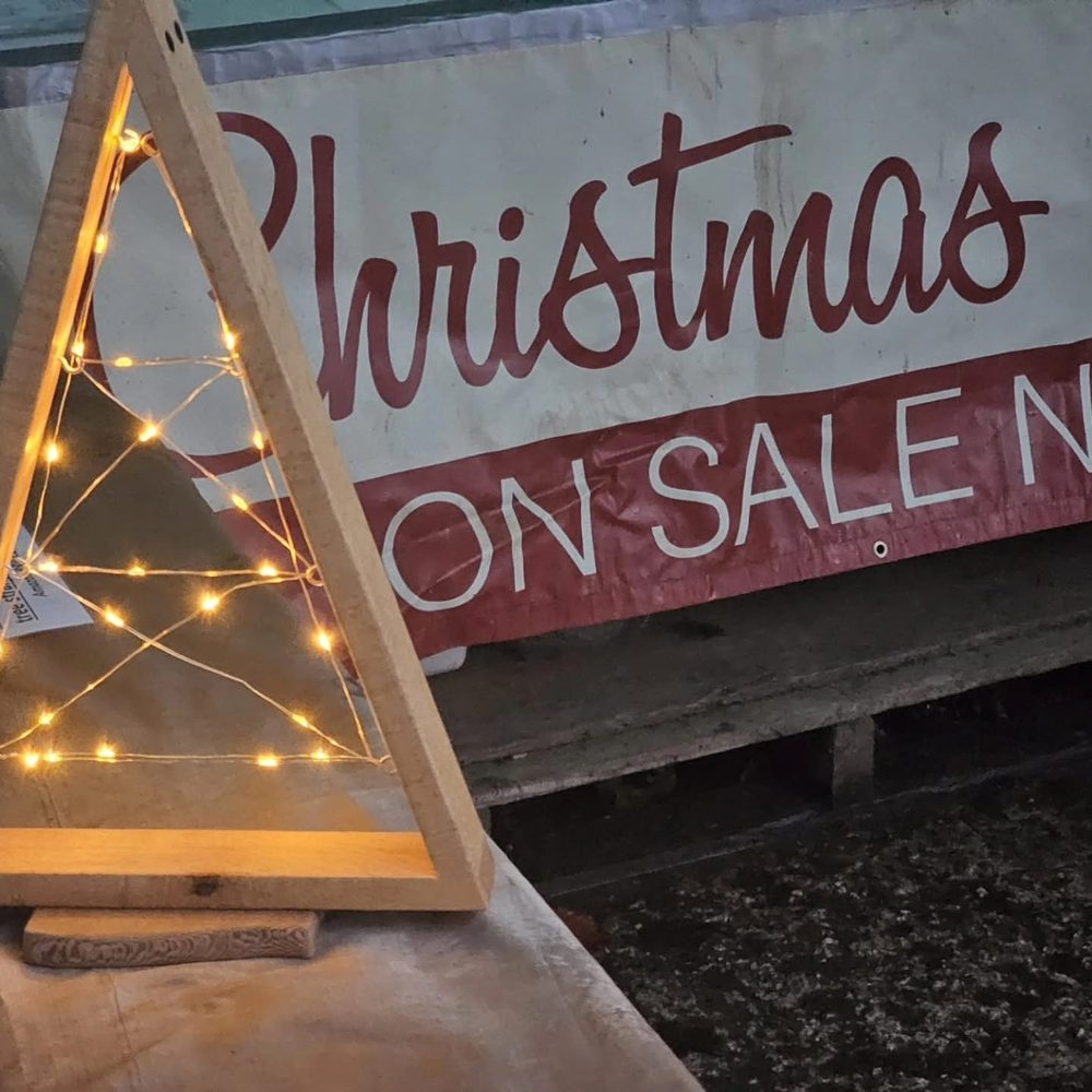 One of our little wooden light-up trees
