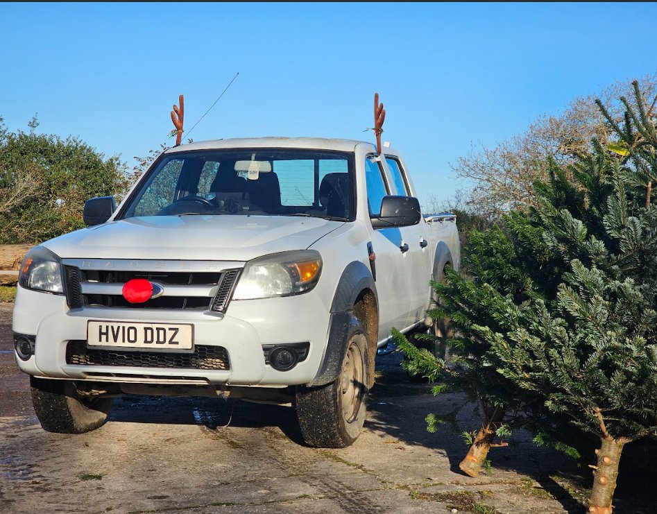 Trees loaded up for delivery