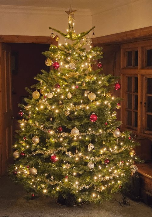 A beautifully lit Christmas tree at home