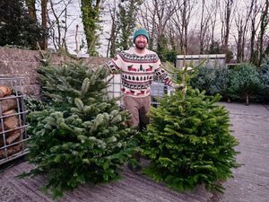 Ready to load up the trees